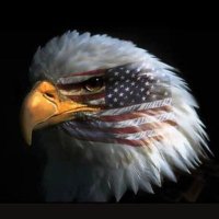 Steven Sharkey (@stevens21101) 's Twitter Profile