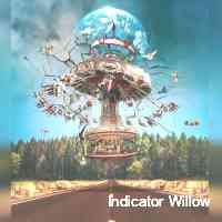 willowindiccat's profile picture. Digital designer 3d art nft artist