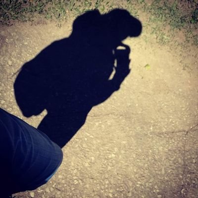 tuesareena's profile picture. 