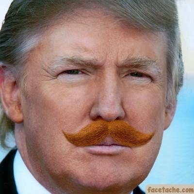 @RealDonalDrumpf