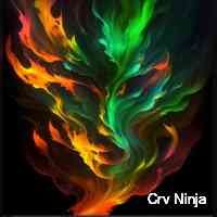Crv Ninja (@ninjacrrv) 's Twitter Profile