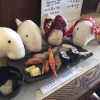 ジュゴンあやチャンネル (@dugongaya) Twitter profile photo