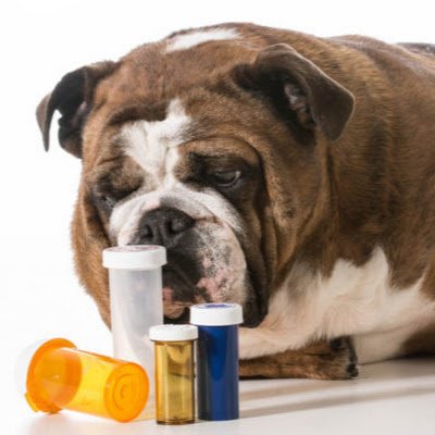 jono709's profile picture. sookyboi