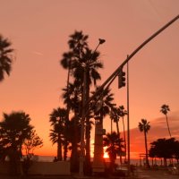 LA Patriot 🇺🇸 (@mscapatriot) 's Twitter Profile