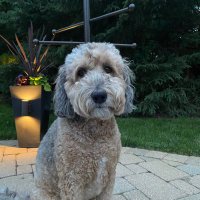 C DeLude (@c_delude) 's Twitter Profile Photo C DeLude (@c_delude) 's Twitter Profile Photo