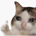 Bea, CPA May 2025 (@bnnmlkty) Twitter profile photo Bea, CPA May 2025 (@bnnmlkty) Twitter profile photo