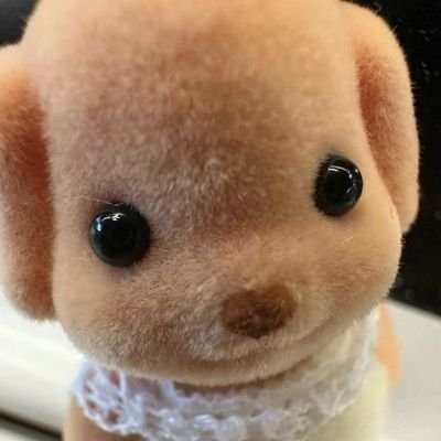 นกกระจอกさんのプロフィール画像