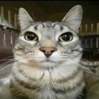 re: (@1re6ce) 's Twitter Profile