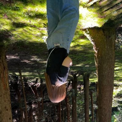 peco_182's profile picture. 