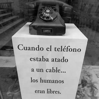 katarcer's profile picture. 