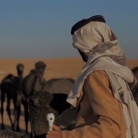  قنّاد📿 (@x120q) 's Twitter Profile