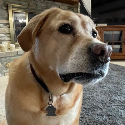 _dreet's profile picture. everybody thinks they're hot shit 'til they have hot shit