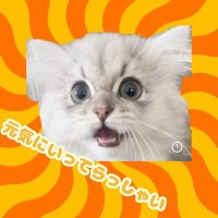 少し毒舌な京おんな(メスネコ)こねこのみろく どすぇ〜 (@konekonomiroku) Twitter profile photo