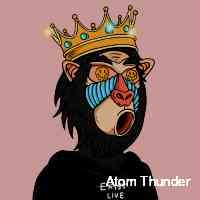 thunderamomt's profile picture. Using blockchain to weave a tapestry of transparency and trust