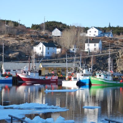 rideout_mike's profile picture. Moved back to Nfld in 2025. Likes to take a few snaps.