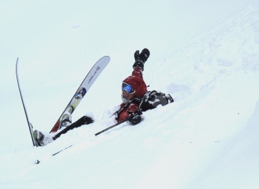 alijmct's profile picture. BC educator committed to students playing in & learning about the natural world. Lover of nature & playing in the ocean and mountains, photographer, dog lover