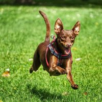 Daniel (@damujihm) 's Twitter Profile