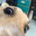 Buddy W3GG π¨ (@buhawi25) Twitter profile photo Buddy W3GG π¨ (@buhawi25) Twitter profile photo