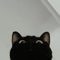 :/ (@biinyourarea) 's Twitter Profile
