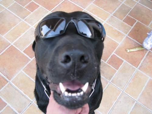 JPCaeiro's profile picture. 