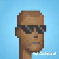 Vet Collateral (@collaateralvee) 's Twitter Profile