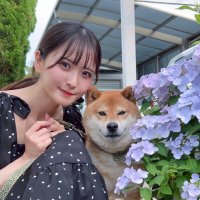 hisa (@inuinu_1231) 's Twitter Profile