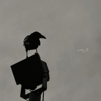 m@gβ (@mgb1717) 's Twitter Profile