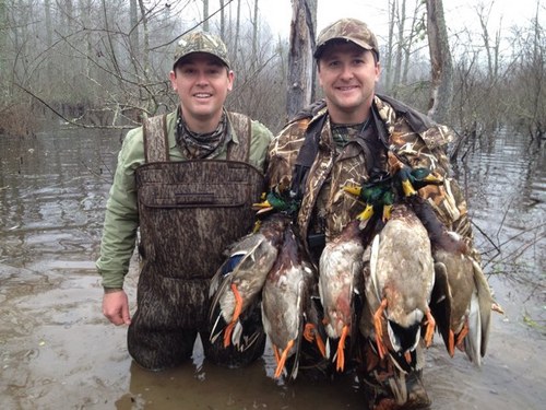 tommcrey's profile picture. 