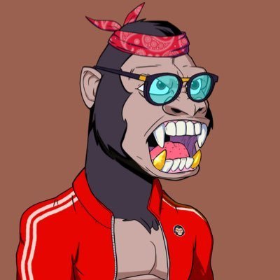 King_2100000's profile picture. $FAME | $MAGA | $LUM | $XAI | #SUILAMA | $XEROAI