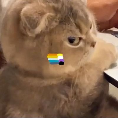 Monoさんのプロフィール画像
