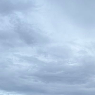 wgflyk's profile picture. flyFishing,techno,Design,direction 休日は山と渓へ