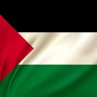 Waleed Abdelsalam🦅🔻 (@waleedabdelsa20) 's Twitter Profile