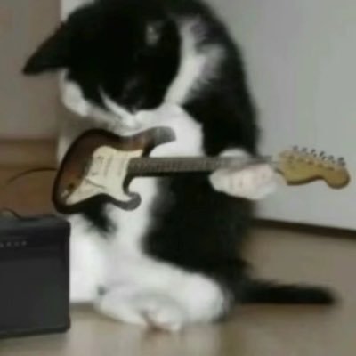 SChaauki's profile picture. 