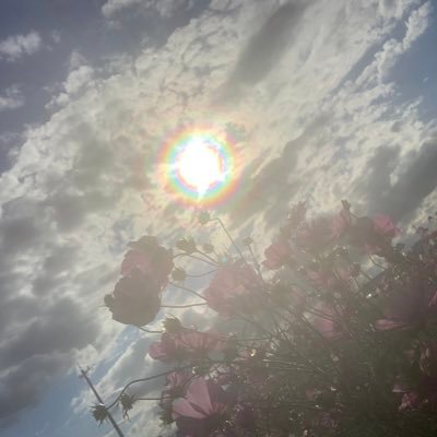 ぐいさんのプロフィール画像