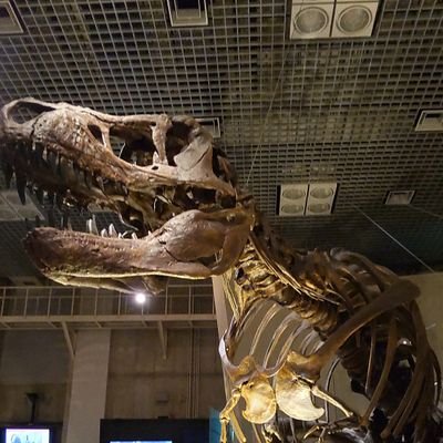 ltFoSioZFPJeK2x's profile picture. 大学生
趣味:クイズ、麻雀、読書など
無言フォロー失礼します。
茨城出身の田舎者です。