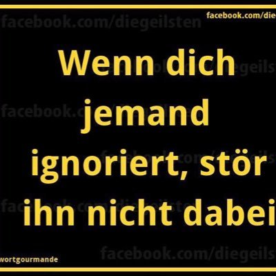 kolltschi's profile picture. 