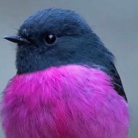 こっこ (@coco441108) 's Twitter Profile