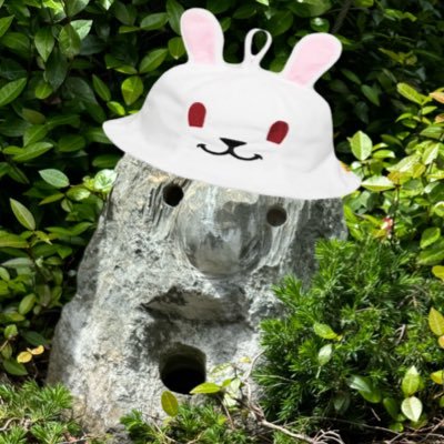 君が花で、僕は水で、僕が土で、君は太陽 🐼🔴 Haruka.Mukai 2021.05.22〜2024.08.20..............→ →𝒇𝒓𝒐𝒎 𝒏𝒐𝒘 𝒐𝒏 𝒂𝒏𝒅 𝒇𝒐𝒓𝒆𝒗𝒆𝒓