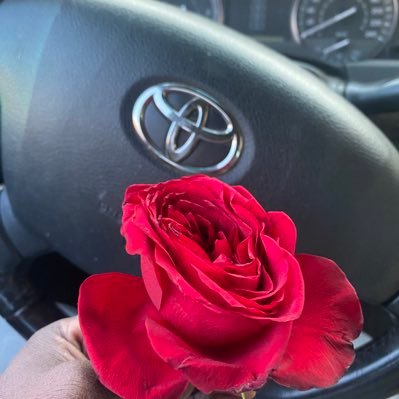 طارت منَ اغصانُ וلمحبهّہ عصاﻓﯾرَ ﯙشابت ﻋﻟى گف ﺂلاماني طموحاتِ