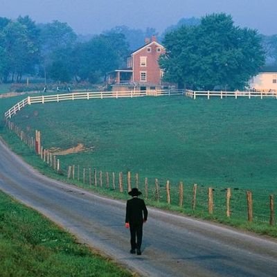 qghwyfiwpsjxhya's profile picture. Major in Electronics and Electrical Engineering / Interested in PKM, dev, and also •••