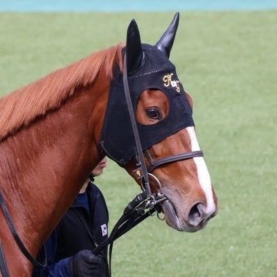 mi_____ku0309's profile picture. 一口バヌーシーやってます🐴
愛息子と愛馬の成長を見守っています