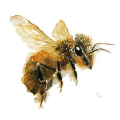 AndrewClar6249's profile picture. Interfacing Eden