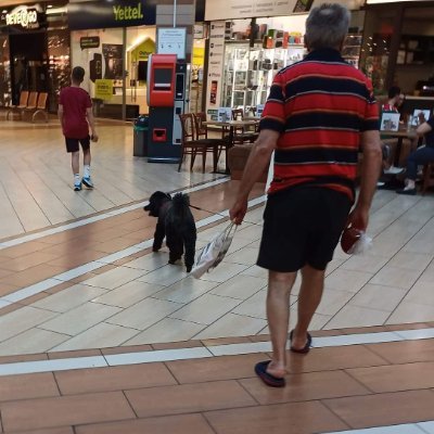 nagysandor01's profile picture. Sanyi