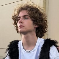 Lucien (@turtlecreates) 's Twitter Profile