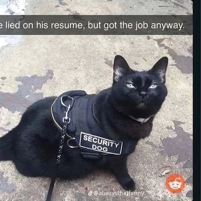 redgo732952's profile picture. 