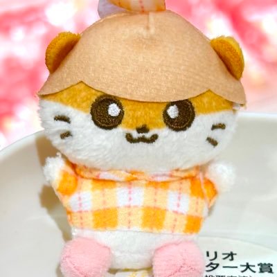 なつめさんのプロフィール画像