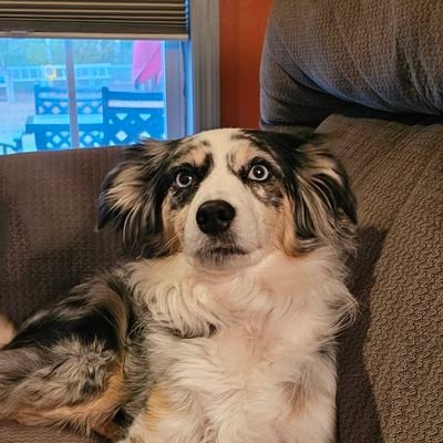 TerriBob61's profile picture. Wife, mother, grandmother.  There are only 2 genders!