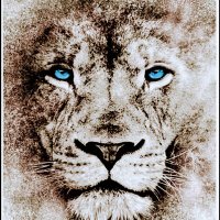 Tommi (@keller60tom) Twitter profile photo