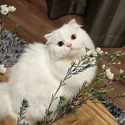 tunggu aku up pl ya! let's be #moots 🫰🏻🙂↕️