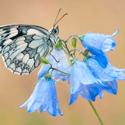 yunsunk1's profile picture. 상식이 통하는 세상을 꿈꾸며 사는 평범한 사람